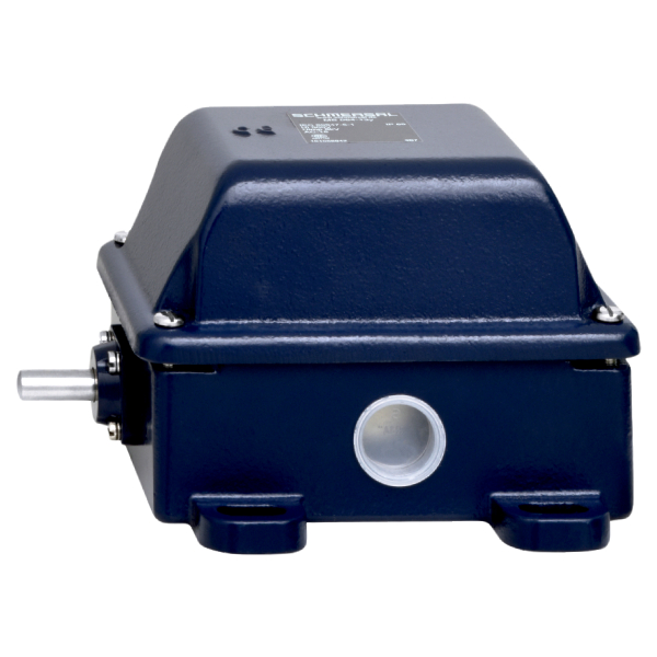 Schmersal Position Switch TS 064-30Y (DISCONTINUED) 101057477 — Промышленные сети