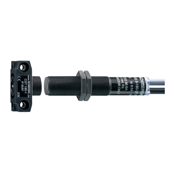 Schmersal EX-CSS 8-180-2P+D-M-L-3G/D 101189302 — Промышленные компоненты