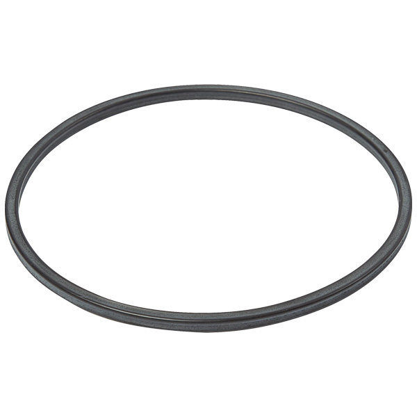 ABB Gasket Ring 21860001-11 — Газоанализаторы и детекторы