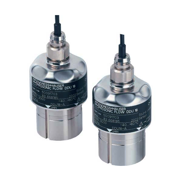 E+H Sensor DDU18 50091703 — Промышленные компоненты