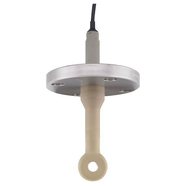 E+H Indumax CLS50D Digital Conductivity Sensor CLS50D-AA1B21 — Промышленные компоненты
